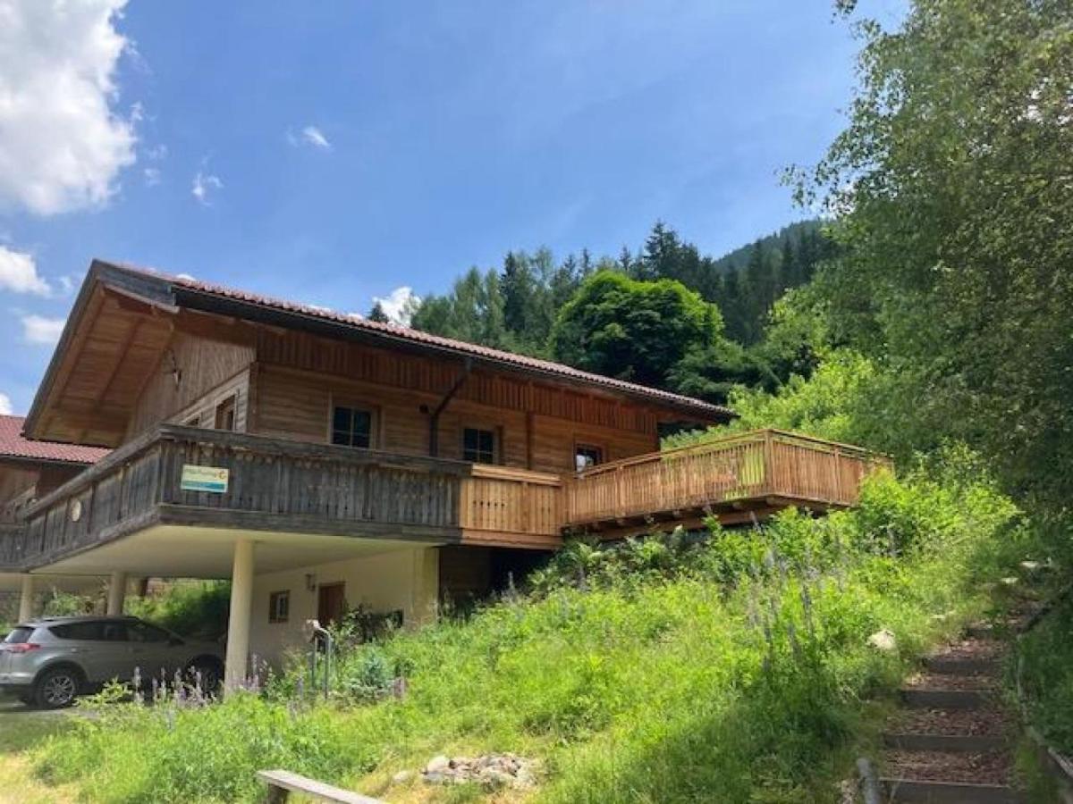Chalet Chalet Venus By Interhome Patergassen エクステリア 写真