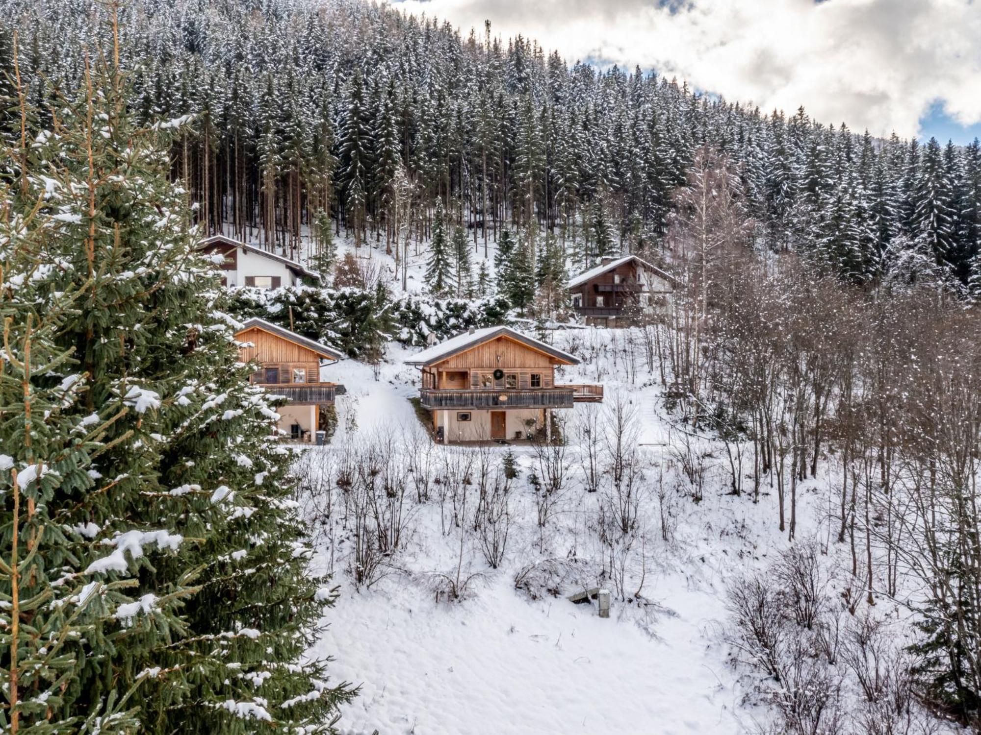 Chalet Chalet Venus By Interhome Patergassen エクステリア 写真